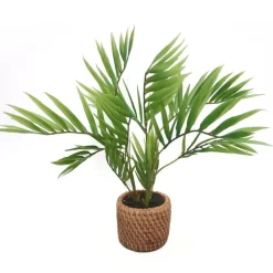 RETIF Areca-Palme Im Keramiktopf Mit Rohrgeflecht-Effekt H 35 Cm Flash Sale