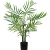 RETIF Areca-Palme Im Plastiktopf H 76 Cm Sale