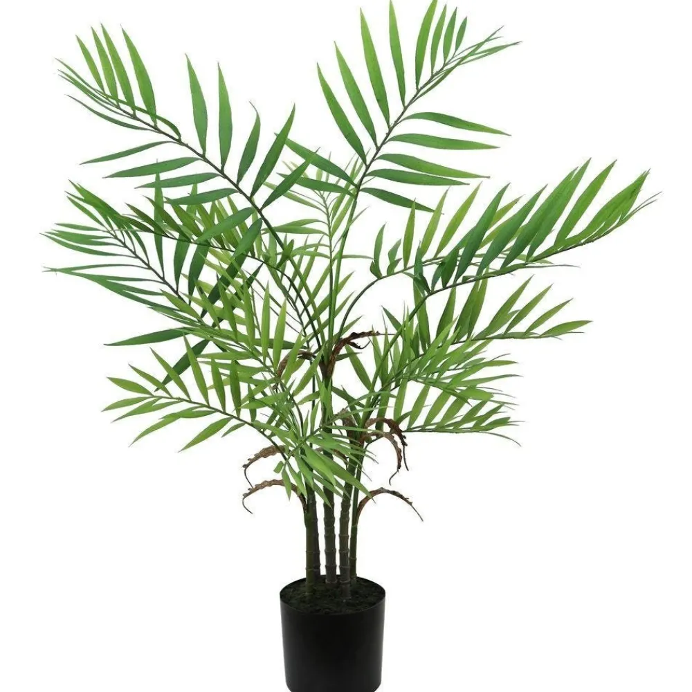 RETIF Areca-Palme Im Plastiktopf H 76 Cm Sale