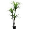 RETIF Dracena Im Topf H 130 Cm New