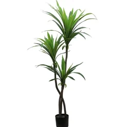 RETIF Dracena Im Topf H 130 Cm New