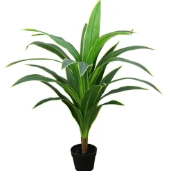 RETIF Dracena Im Topf H 110 Cm Fashion
