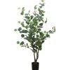 RETIF Eukalyptus Im Topf H 95 Cm Flash Sale