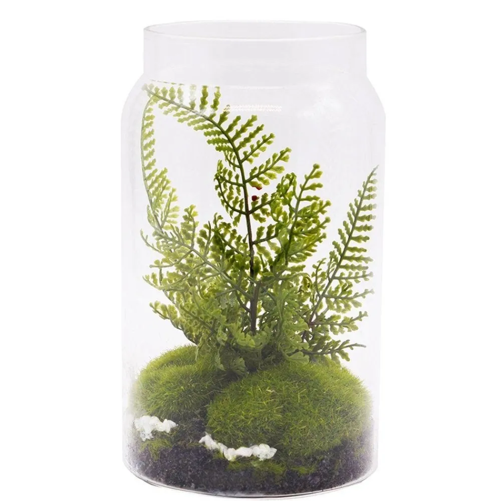 RETIF Farn-Terrarium H 19 Cm Cheap