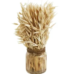 RETIF Getrocknete Ahren In Glasflasche H18 Cm Cheap