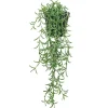 RETIF Hangende Sukkulente Rhipsalis Cassutha Im Topf H 50/60 Cm Best