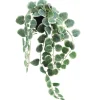 RETIF Hangender Eukalyptus Im Plastiktopf H 63 Cm Outlet