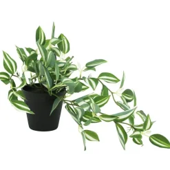 RETIF Hangendes Laub Im Topf H 50 Cm New