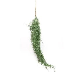 RETIF Laubfall Plastik Grun H 72 Cm Discount