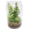 RETIF Sukkulenten-Terrarium H 20 Cm Online