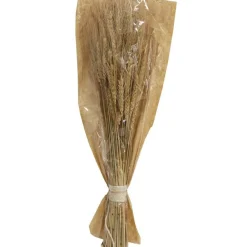 RETIF Trockenblumen In Einem Straus Im Kraftbeutel Weizen H55/60 Cm Flash Sale
